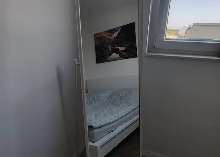 Olives Privlaka (Zadar)